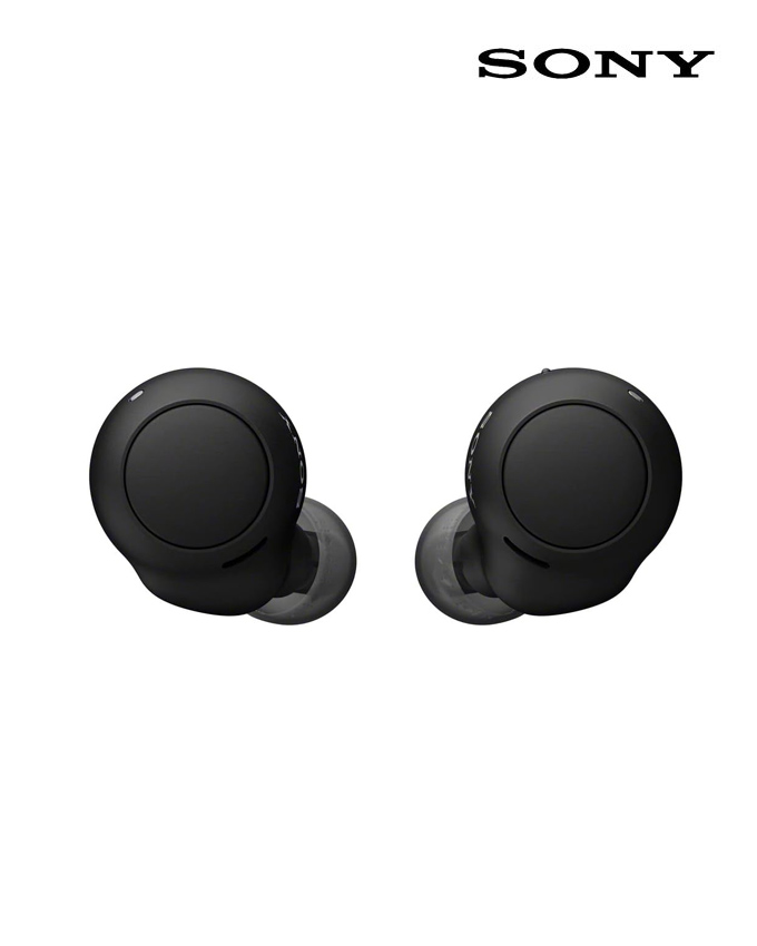 Sony WF-C500